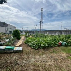 鳥栖市幡崎町　売地　42坪 画像8